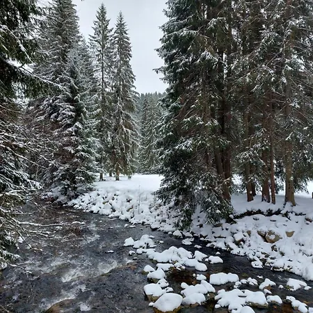 The House Next To The Forest - Lakmat Feriehus