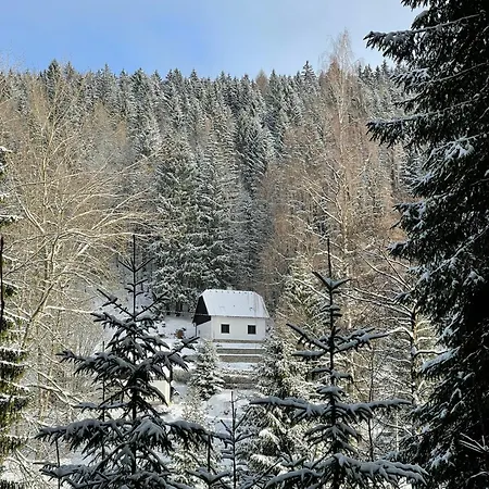 The House Next To The Forest - Lakmat * Nove Hamry