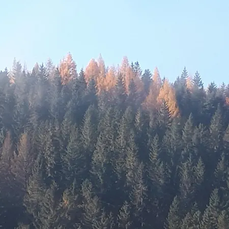 The House Next To The Forest - Lakmat Casa de Férias *