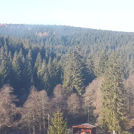 The House Next To The Forest - Lakmat * Nove Hamry