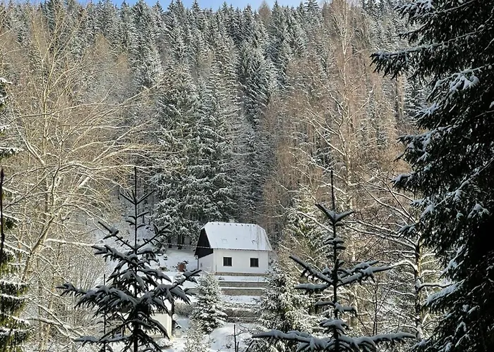 The House Next To The Forest - Lakmat * Nové Hamry