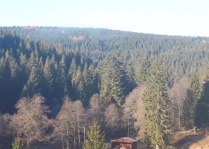 The House Next To The Forest - Lakmat * Nové Hamry